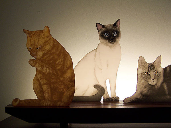 Animal Glasscapes: Mere Cats - Eclipse Gallery
