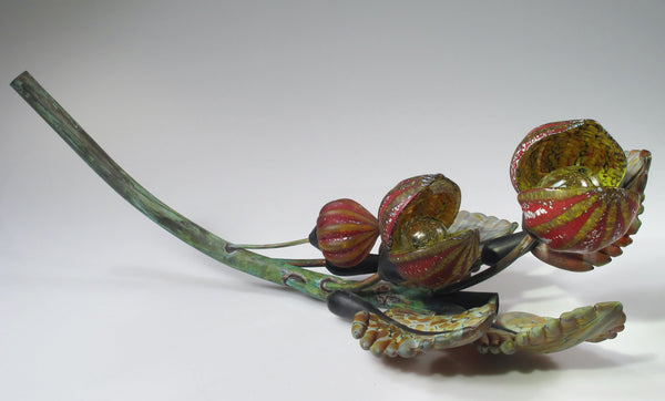Red Tabletop Seed Pods