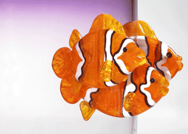 Fish Bowl in Purple with Clownfish - Eclipse Gallery
