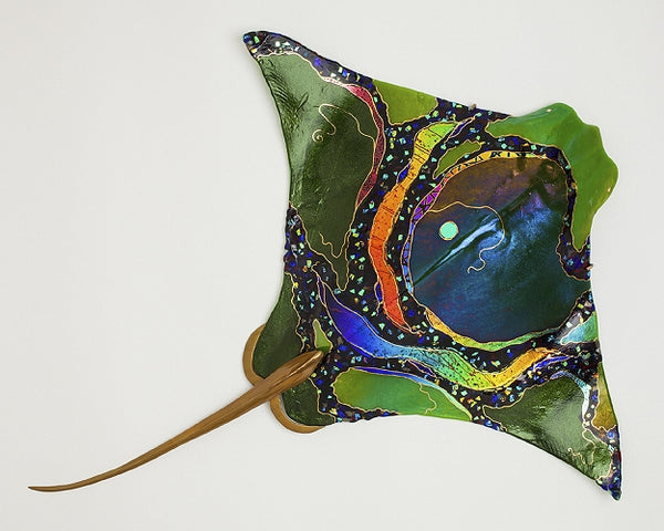Green Eagle Ray - Eclipse Gallery