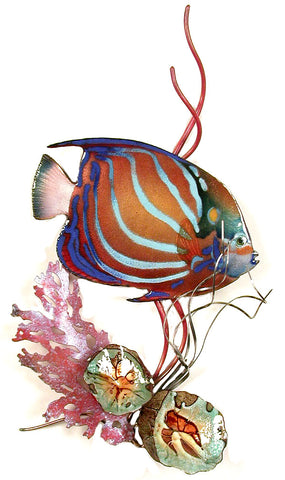 Blue Ring Angelfish in Coral